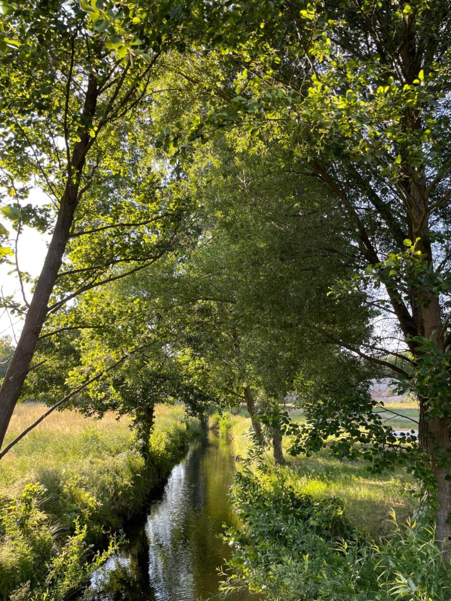 Guesthouse With 3 Apartments, Just Outside Berlin, Near To Tesla Burig Eksteriør bilde