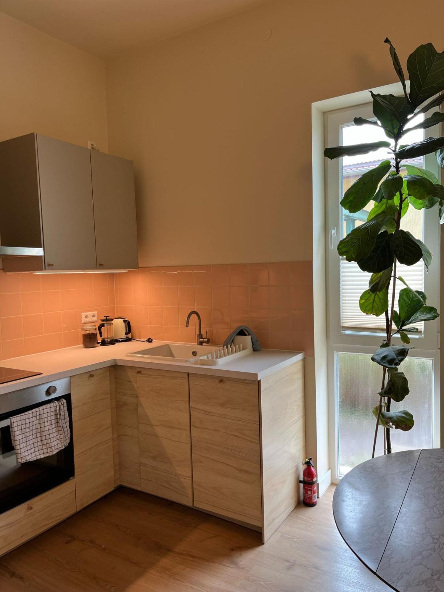 Guesthouse With 3 Apartments, Just Outside Berlin, Near To Tesla Burig Eksteriør bilde